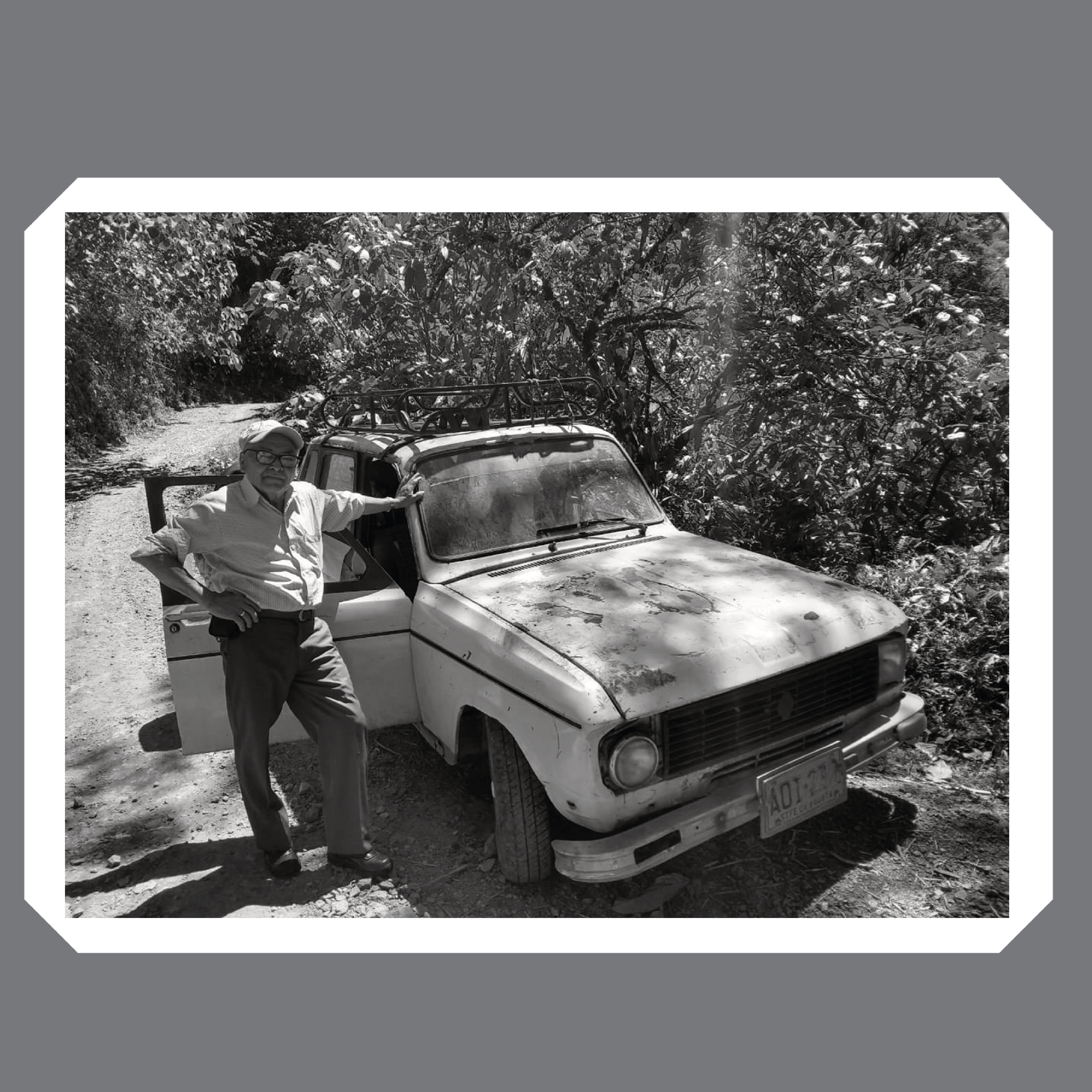 Archivo visual del libro 3